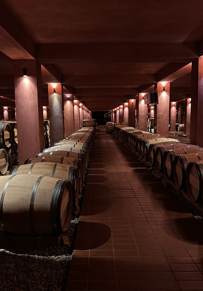 Wine tasting experience