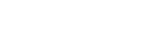 PLEON — Beyond Travel